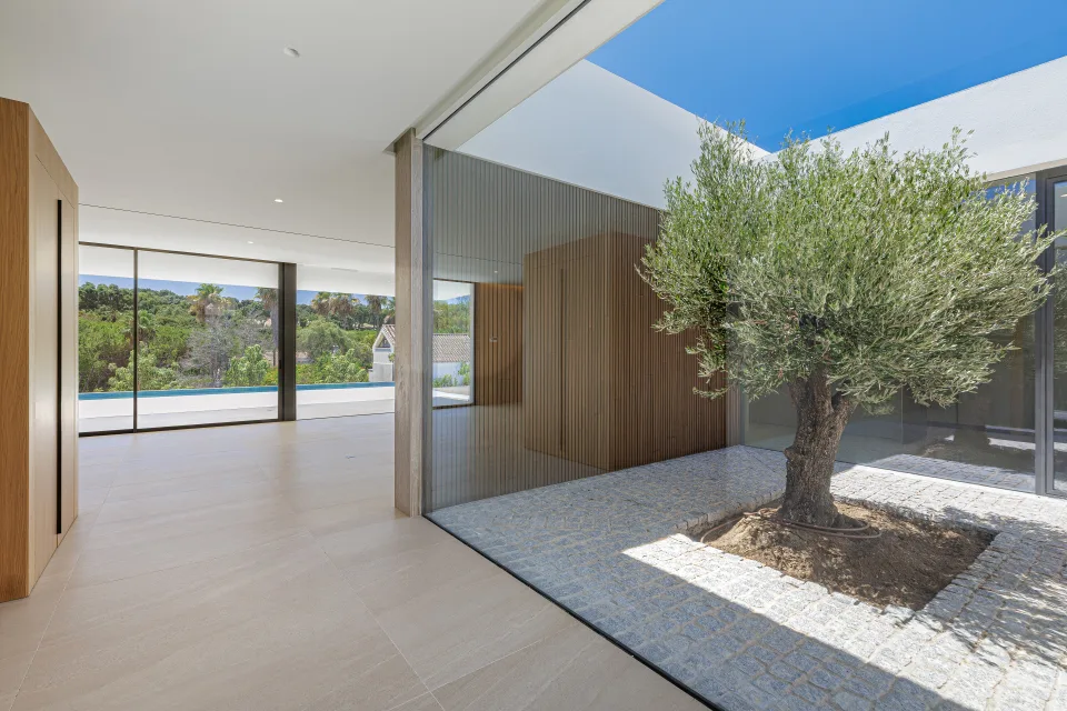 Fotografía de arquitectura de un interior luminoso con un olivo en el centro y grandes ventanales que ofrecen vistas en Sotogrande